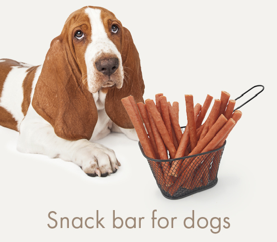 SNACK BAR FOR DOGS