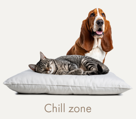 CHILL ZONE