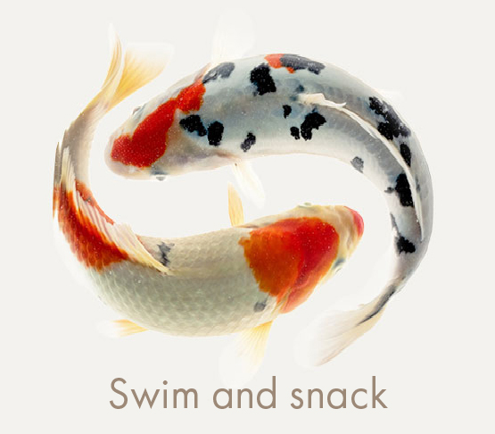 SWIM & SNACK
