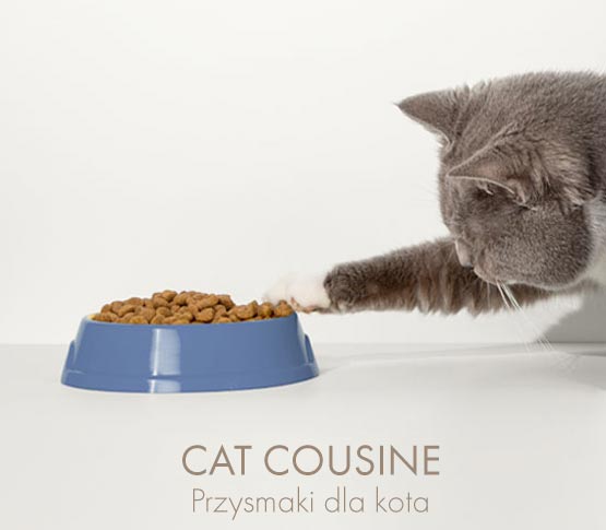 Przysmaki dla kota (CAT COUSINE)