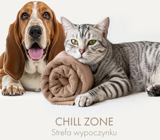 Strefa wypoczynku (CHILL ZONE)