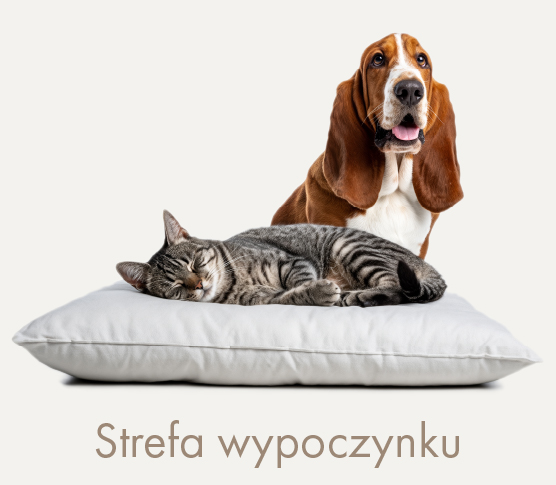 Strefa wypoczynku