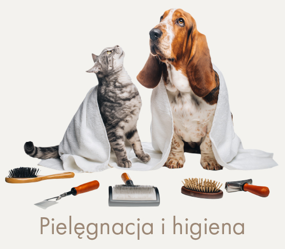 Pielęgnacja i higiena zwierząt 