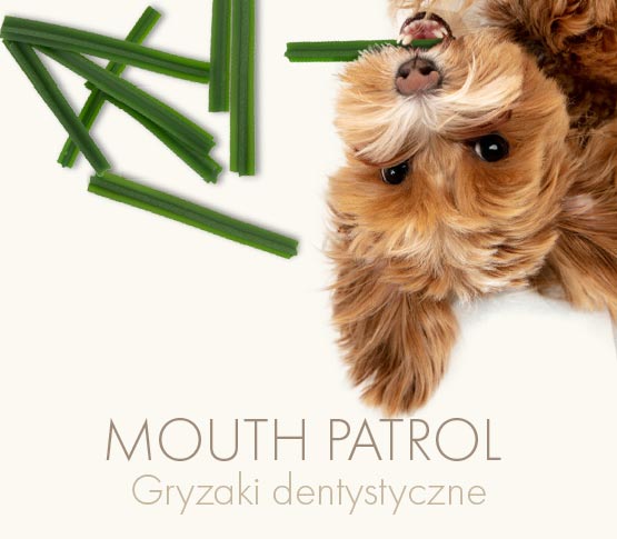Gryzaki dentystyczne