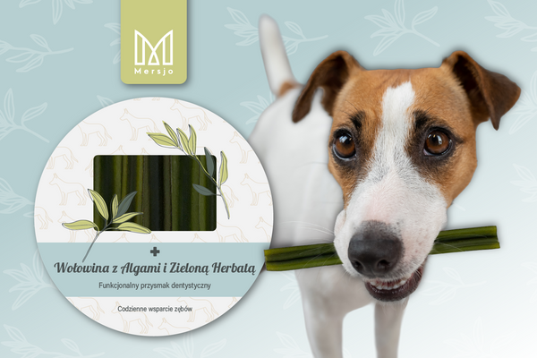 Przekąska stomatologiczna dla psów - wołowina z algami i ekstraktem z zielonej herbaty (7 sticków)