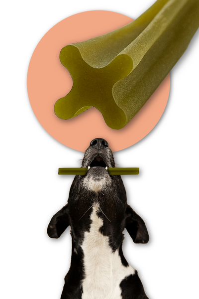 Przekąska stomatologiczna dla psów Mersjo Dental Sticks - królik z papają i żurawiną (7 sticków)