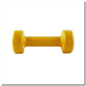 17023 Ciężarek Żeliwny Pokryty Winylem 1.0 KG HMS