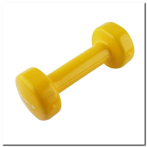 17023 Ciężarek Żeliwny Pokryty Winylem 1.0 KG HMS