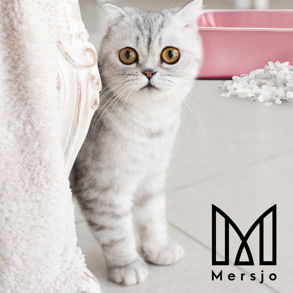 Żwirek silikonowy dla kota Mersjo Sensitive 5x3,8L