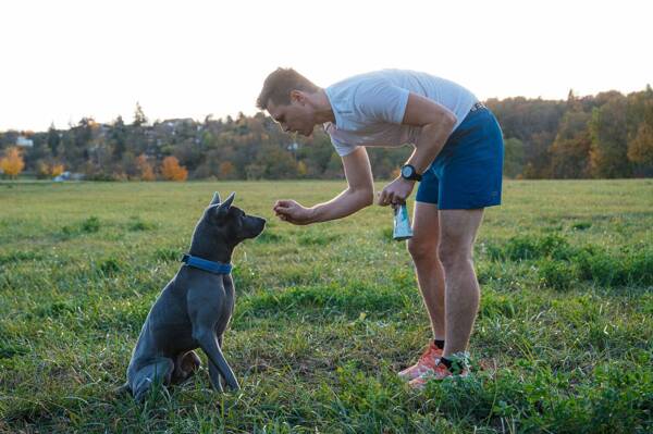 Geloren Small Dog 180g - Mieszanka uzupełniająca, żelki dla psów na stawy